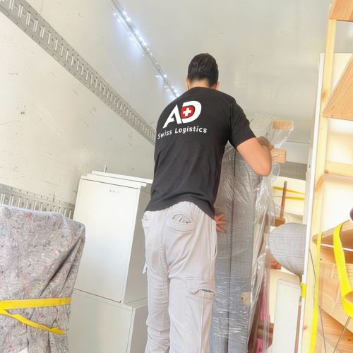 AD-Swiss-Logistic-82 b